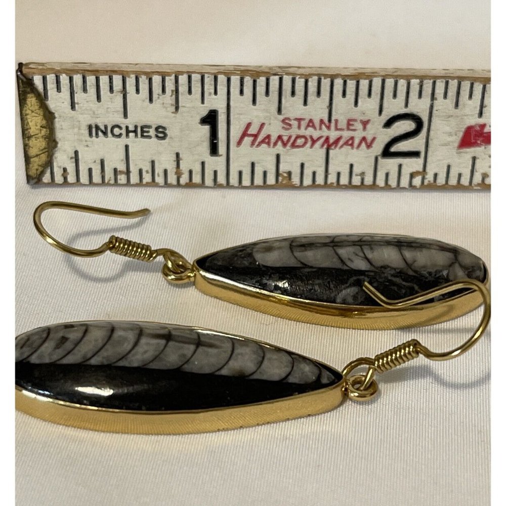 SOLD eBay Charles Albert Orthoceras Fossil Gold Tone pierced Shell earrings NWT - Picture 6 of 7